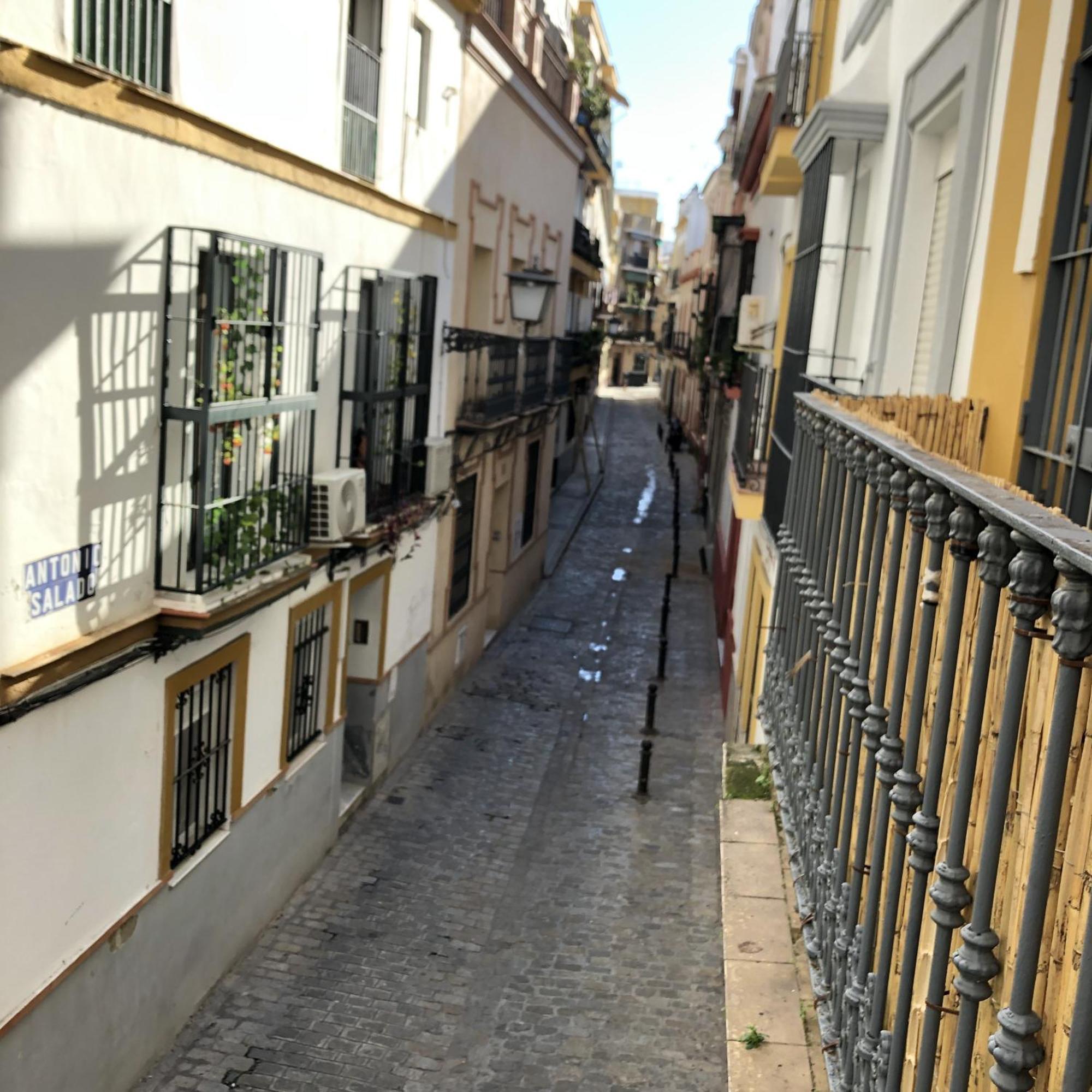 Apartament Alfaqueque B